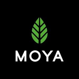 MOYA MATCHA